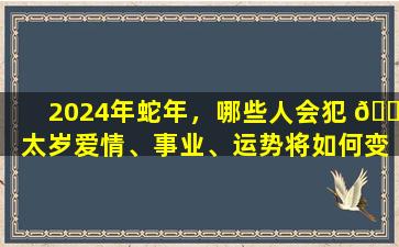 2024年蛇年，哪些人会犯 🐠 太岁爱情、事业、运势将如何变化